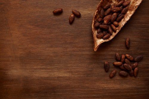 informe sectorial de derivados del cacao