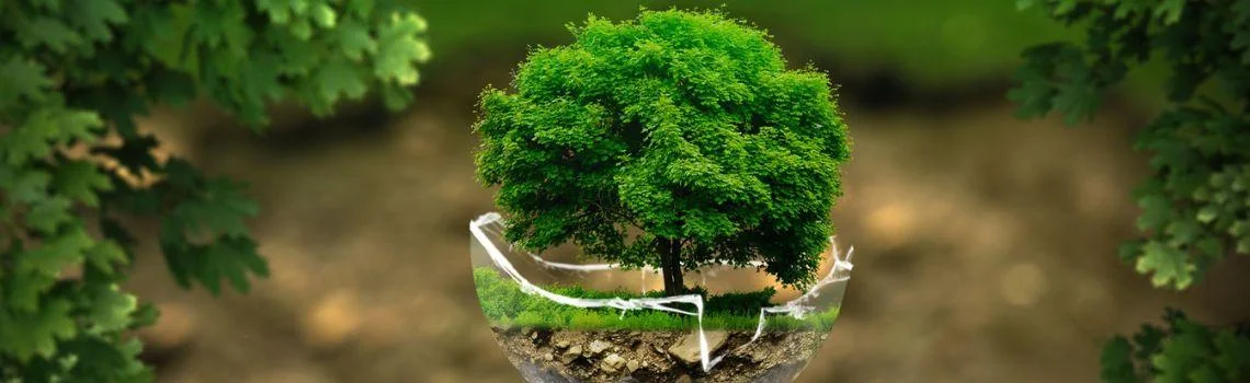 taxonomía verde europea