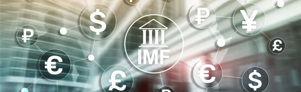 Fondo Monetario Internacional (FMI)