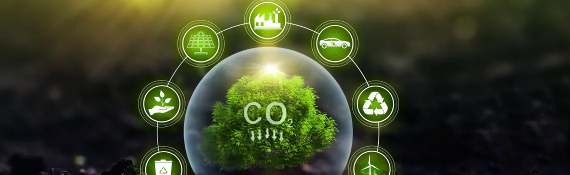 Presupuesto de carbono