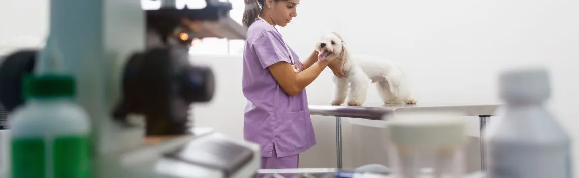 SERVICIOS VETERINARIOS