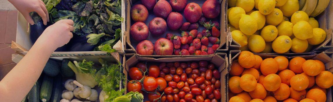FRUTAS Y HORTALIZAS