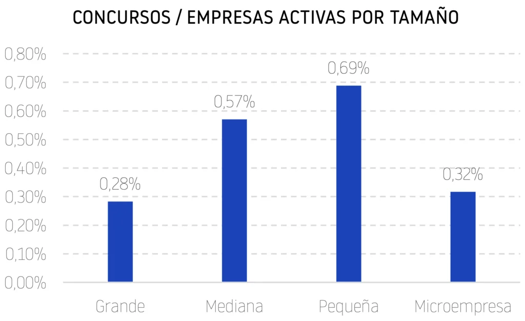 Concursabilidad por tamaño 2025