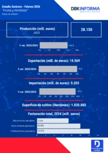 El alto volumen exportado y la creciente asociación de productores y comercializadores se ha traducido en los últimos años en un incremento del tamaño de las empresas que intervienen en el sector